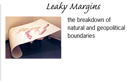 Leaky Margins